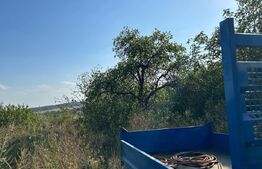 Casa si terenuri in suprafata de 7.600 mp