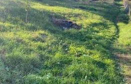 Teren intravilan de vanzare, 2.400 mp, Zalau