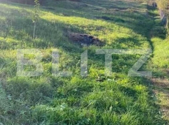 Teren de vânzare Central - 166293TV | BLITZ Zalău | Poza1