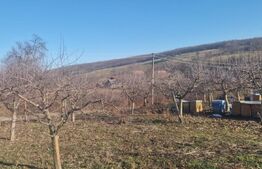 Casa de vanzare, cu 18 ari de teren