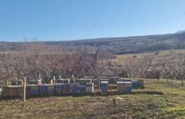 Casa de vanzare, cu 18 ari de teren