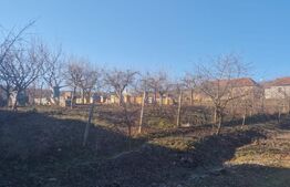 Casa de vanzare, cu 18 ari de teren