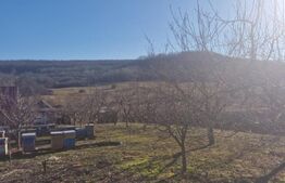 Casa de vanzare, cu 18 ari de teren