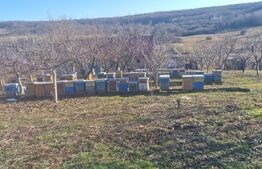 Casa de vanzare, cu 18 ari de teren