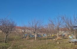 Casa de vanzare, cu 18 ari de teren