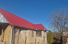 Casa de vanzare, cu 18 ari de teren