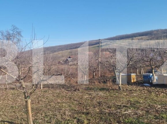 Casa de vânzare 4 camere Maladia - 166345CV | BLITZ Zalău | Poza5