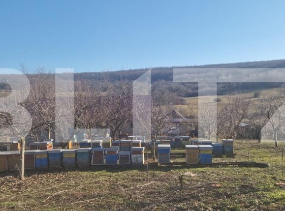 Casa de vânzare 4 camere Maladia - 166345CV | BLITZ Zalău | Poza3