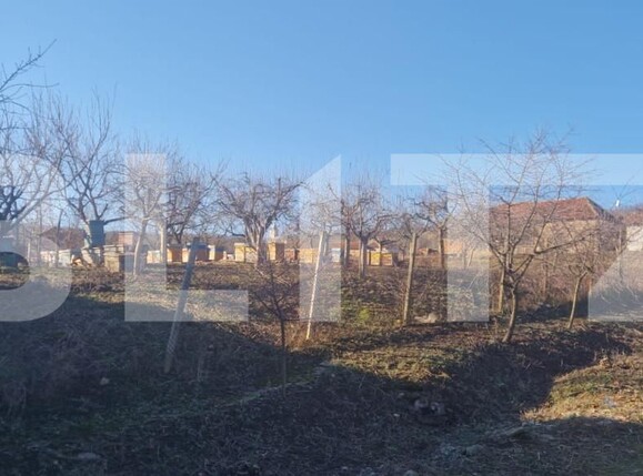 Casa de vânzare 4 camere Maladia - 166345CV | BLITZ Zalău | Poza7