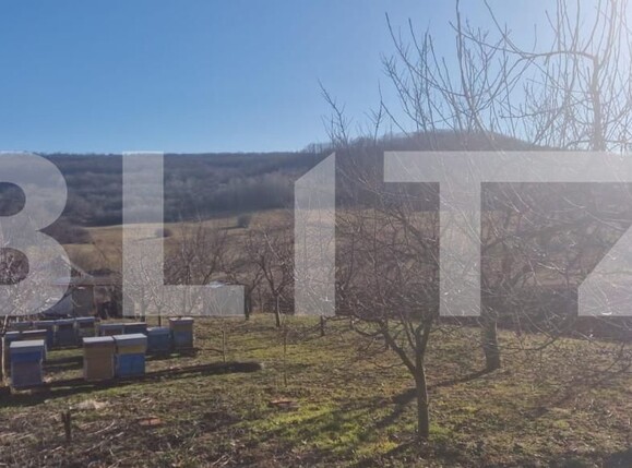 Casa de vânzare 4 camere Maladia - 166345CV | BLITZ Zalău | Poza4