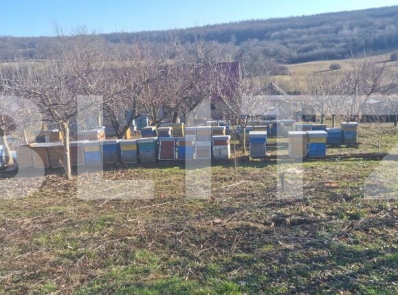 Casa de vânzare 4 camere Maladia - 166345CV | BLITZ Zalău | Poza8