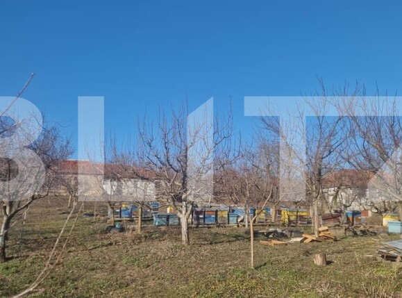 Casa de vânzare 4 camere Maladia - 166345CV | BLITZ Zalău | Poza6