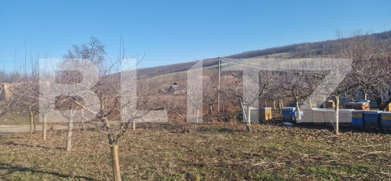 Casa de vânzare 4 camere Maladia - 166345CV | BLITZ Zalău | Poza5