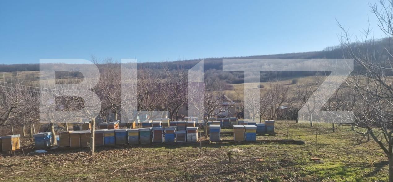 Casa de vânzare 4 camere Maladia - 166345CV | BLITZ Zalău | Poza3