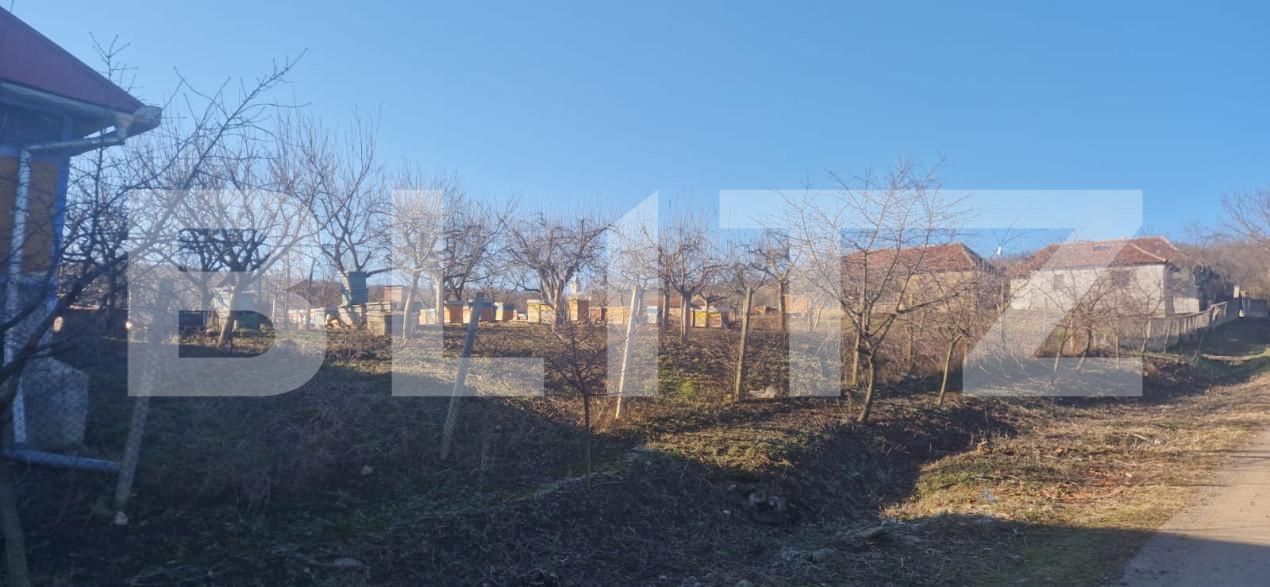 Casa de vânzare 4 camere Maladia - 166345CV | BLITZ Zalău | Poza7