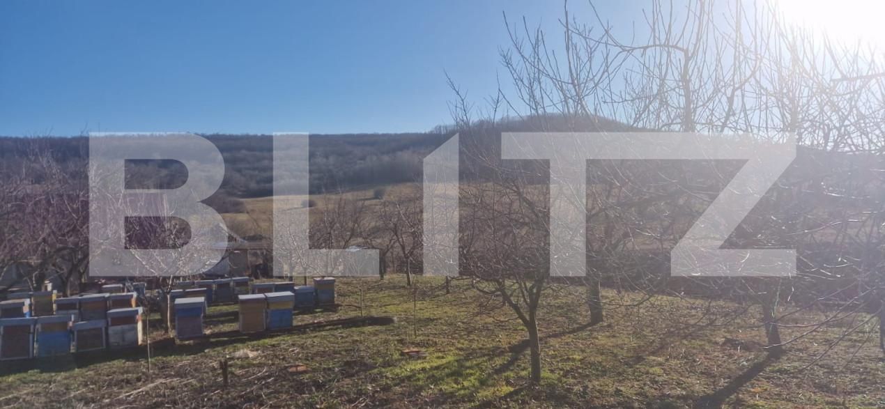 Casa de vânzare 4 camere Maladia - 166345CV | BLITZ Zalău | Poza4