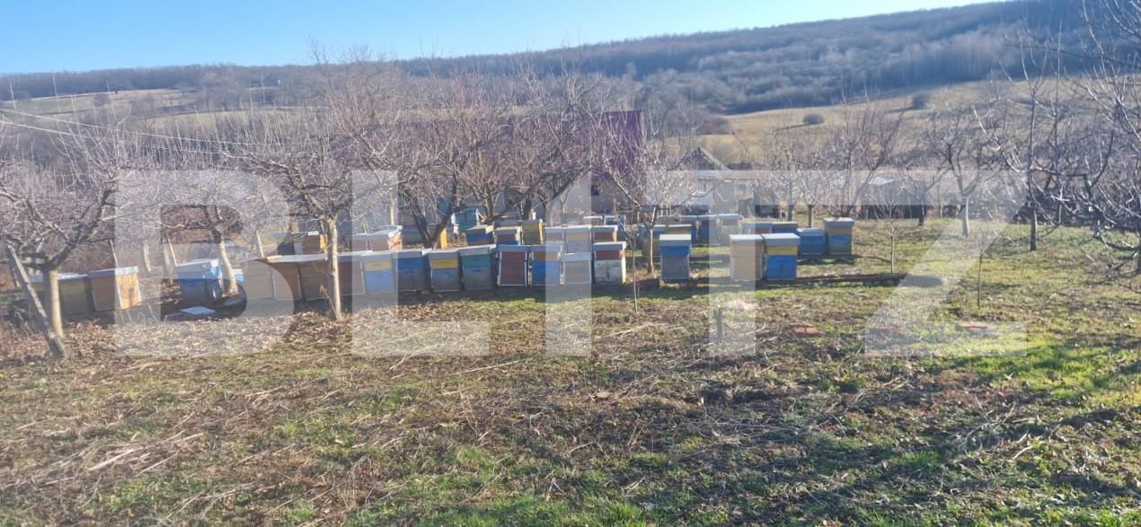 Casa de vânzare 4 camere Maladia - 166345CV | BLITZ Zalău | Poza8