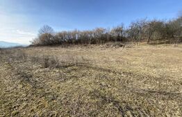 Teren intravilan de vanzare, 2000 mp, zona Industriala