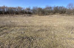 Teren intravilan de vanzare, 2000 mp, zona Industriala