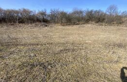 Teren intravilan de vanzare, 2000 mp, zona Industriala