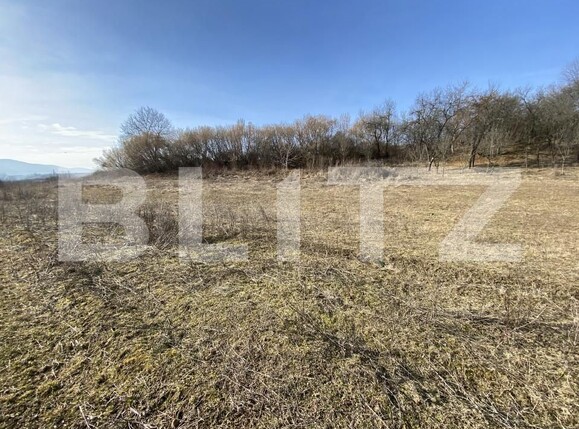 Teren de vânzare Nord-Vest - 166566TV | BLITZ Zalău | Poza3