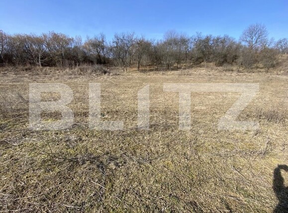 Teren de vânzare Nord-Vest - 166566TV | BLITZ Zalău | Poza1