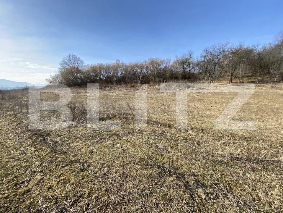 Teren de vânzare Nord-Vest - 166566TV | BLITZ Zalău | Poza3