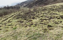 Teren intravilan de vanzare, 2200 mp, zona cartierul Ortelec