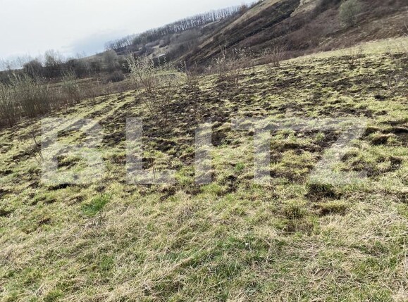 Teren de vânzare Sud-Est - 166567TV | BLITZ Zalău | Poza1
