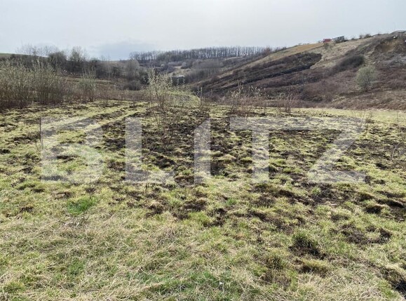 Teren de vânzare Sud-Est - 166567TV | BLITZ Zalău | Poza7