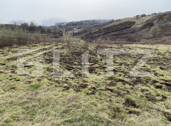 Teren de vânzare Sud-Est - 166567TV | BLITZ Zalău | Poza3