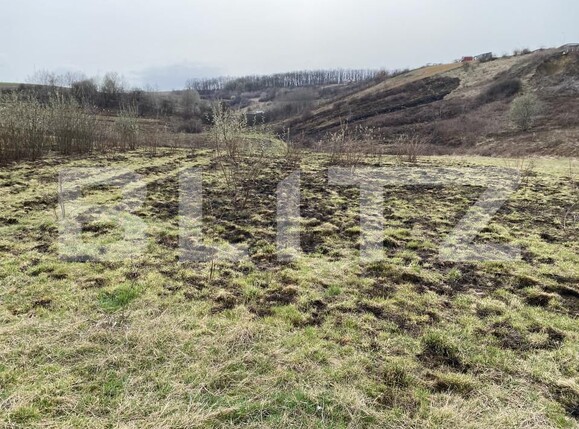 Teren de vânzare Sud-Est - 166567TV | BLITZ Zalău | Poza4