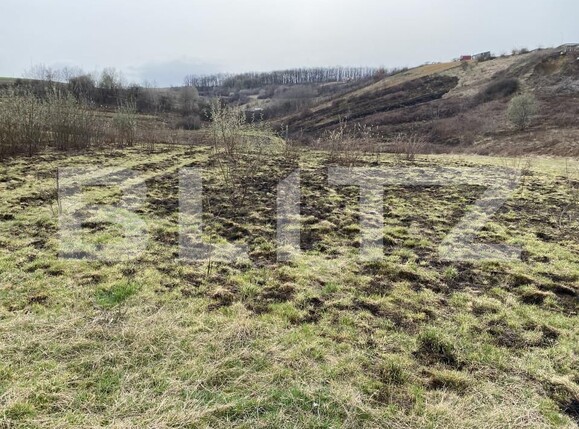 Teren de vânzare Sud-Est - 166567TV | BLITZ Zalău | Poza6