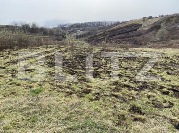 Teren de vânzare Sud-Est - 166567TV | BLITZ Zalău | Poza5