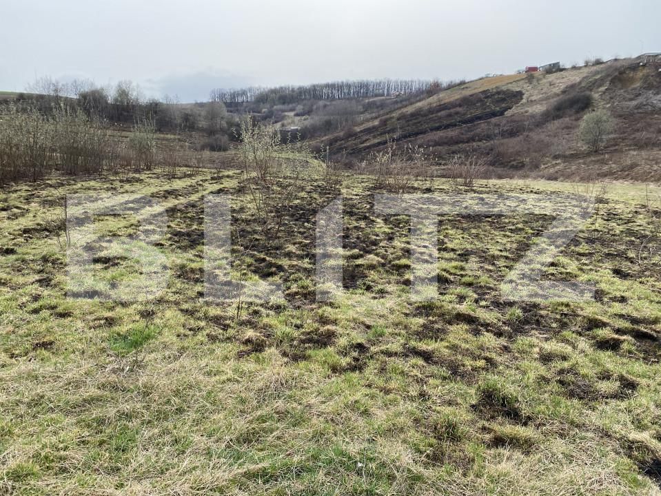 Teren de vânzare Sud-Est - 166567TV | BLITZ Zalău | Poza6