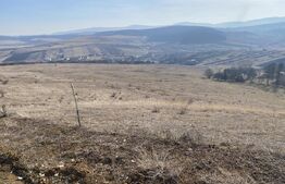 Teren extravilan in suprafata de 140551 mp in loc. Recea