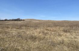 Teren extravilan in suprafata de 140551 mp in loc. Recea