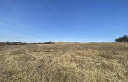 Teren extravilan in suprafata de 140551 mp in loc. Recea