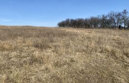 Teren extravilan in suprafata de 140551 mp in loc. Recea