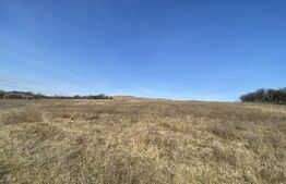 Teren extravilan in suprafata de 140551 mp in loc. Recea