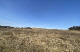 Teren extravilan in suprafata de 140551 mp in loc. Recea