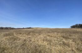 Teren extravilan in suprafata de 140551 mp in loc. Recea