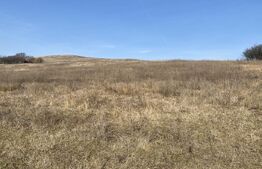 Teren extravilan in suprafata de 140551 mp in loc. Recea