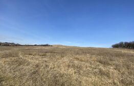 Teren extravilan in suprafata de 140551 mp in loc. Recea