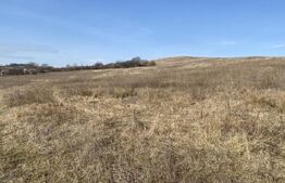 Teren extravilan in suprafata de 140551 mp in loc. Recea