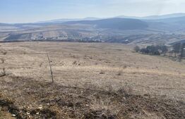 Teren extravilan in suprafata de 140551 mp in loc. Recea