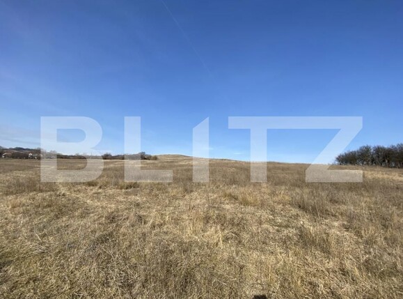 Teren de vânzare Recea - 166612TV | BLITZ Zalău | Poza6