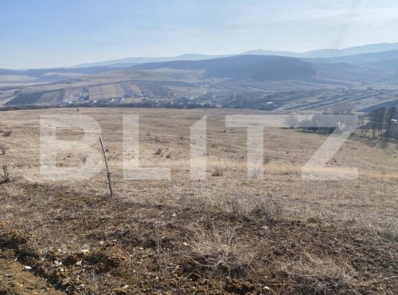 Teren de vânzare Recea - 166612TV | BLITZ Zalău | Poza10