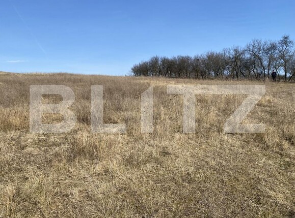 Teren de vânzare Recea - 166612TV | BLITZ Zalău | Poza9
