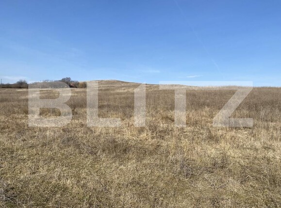 Teren de vânzare Recea - 166612TV | BLITZ Zalău | Poza2